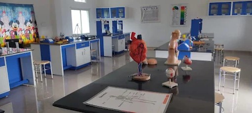 school